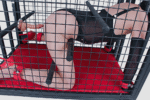 Black Restraint Play Cage - Image 2