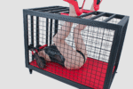 Black Restraint Play Cage - Image 16