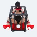 Crimson Bondage System with Multi-Point Restraints