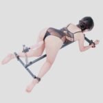 Electric Restraint Stimulation Frame with Adjustable Features - Image 13