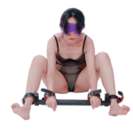 Adjustable Stimulation Rack with Restraints - Image 6