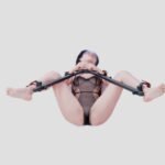 Black Adjustable Restraint System with Spreader Bars - Image 4