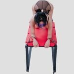 Red Bondage Stimulation Table with Adjustable Restraint Points - Image 7