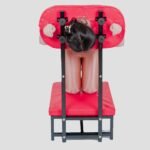 Red Submission Training Chair with Head Restraint - Image 8