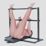 Transparent Adjustable Submission Rack with Restraint Features - Image 9