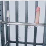 Black Cage Restraint System with Locking Mechanism - Image 5