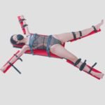 Red Adjustable Restraint Cross Frame with Secure Strapping System
