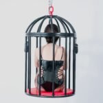 Black Suspension Cage with Adjustable Harness - Image 6