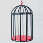 Black Suspension Cage with Adjustable Harness - Image 5