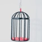 Black Suspension Cage with Adjustable Harness - Image 4