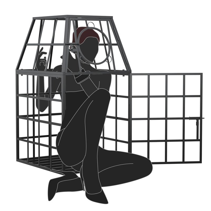 SF165_Main Black Restraint Cage with Visibility Features - Image 1