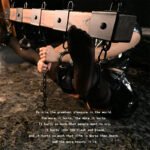 Brown Restraint Beam with Adjustable Cuffs - Image 16