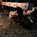 Brown Restraint Beam with Adjustable Cuffs - Image 7